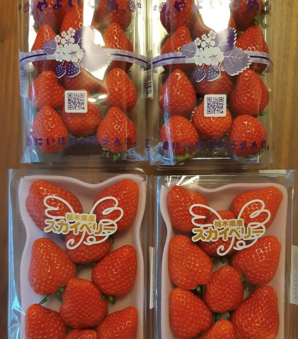 Strawberry Season in Japan