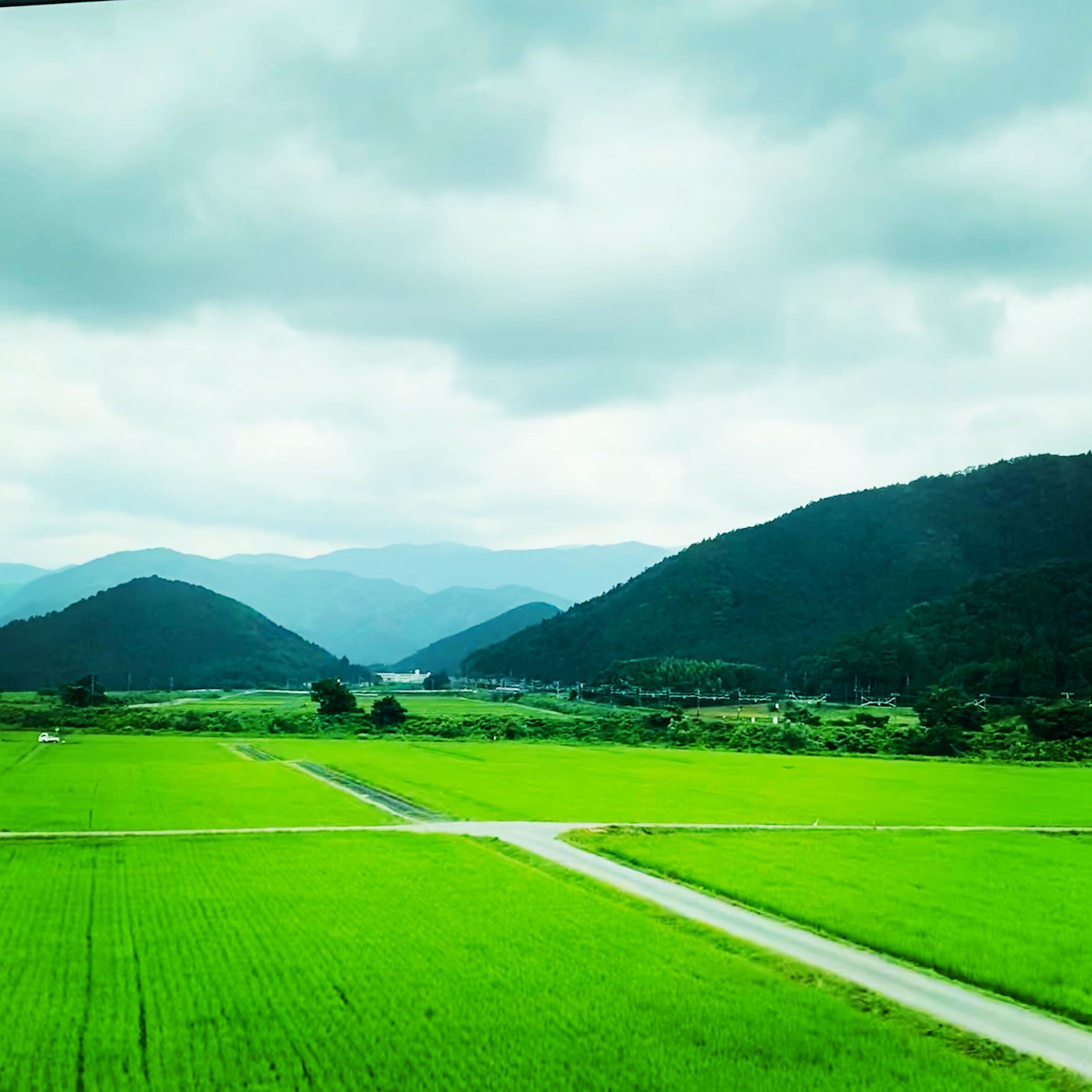 Khung cảnh từ tàu Shinkansen