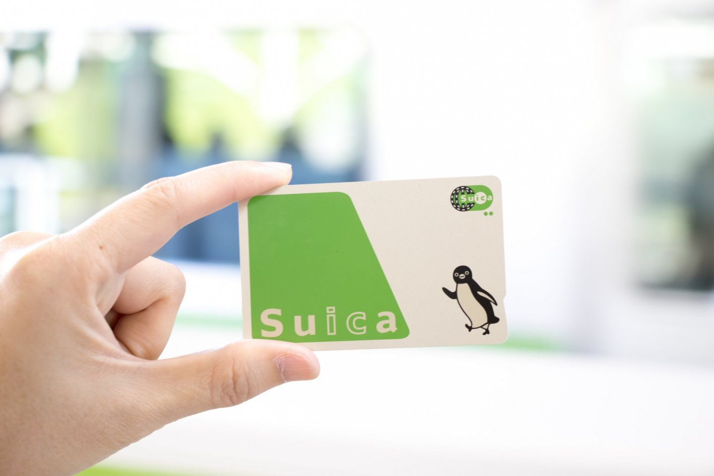 Do you have any Suica card?